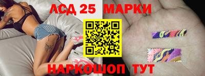 индика Новозыбков