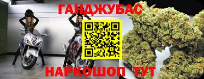 индика Новозыбков