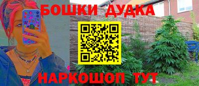 мдпв Новодвинск