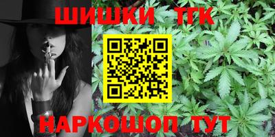 индика Новозыбков