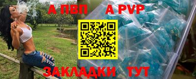 индика Новозыбков
