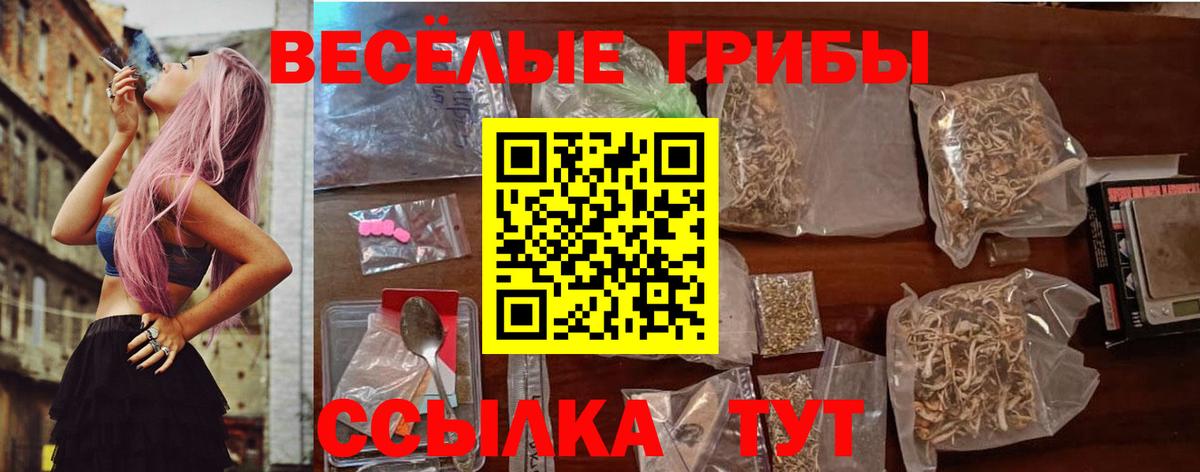 Галлюциногенные грибы Psilocybe  Вход с VPN  Семёнов 